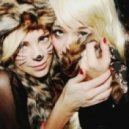 Dcup pres. - Kittens pt 2