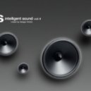 Sergej Vinilov - Intelligent sound vol.4
