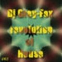 Dj Grey-Fox - Revolution of House