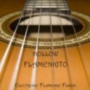 Anton HOLLOW - Flamenkito