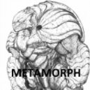 Metamorph - Broken Bone ()