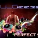 Dj_Geegel - Perfect 90 ()