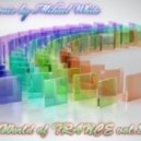 Mihael White - World of TRANCE vol.8