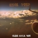 Oleg A.K.N. - Nice Trip