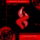 Farhad Mahdavi - Touching Sky (Viceverse Remix)