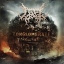 Clever Insects - Conglomerate ()