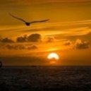 Geo_b presents - \'\'Uplifting -Trance mix .. vol. 106\'\' ()