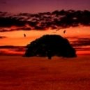 Geo_b presents - ''Uplifting -Trance mix .. vol. 107''