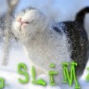 Dj.Slim70 - Snow Light