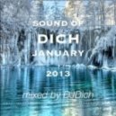 DJ.Dich - Sound of Dich January 2013 ()
