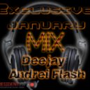 Deejay Andrey Flash - Exclusive January Mix ()