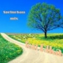 DSG feat Rika - spring bass mix