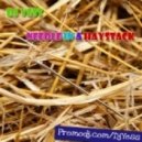 Dj Yess - Needle in a haystack (EXCLUSIVE)