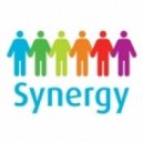 Dj Serge Serafim - Synergy Vol. 2
