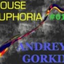 Dj Andrey Gorkin - House Euphoria #013 ()