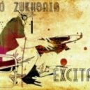 Sandro Zukhbaia - Excitation 012 ()