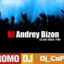 DJ Andrey Bizon - Club Soul