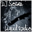 DJ Sosei - Liquid Radio