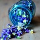 Shaten - Businka #03 ()