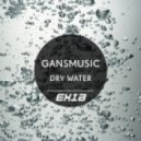 Gansmusic - Dry Water (Original Mix)
