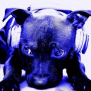 Madsound - NuDeep Summer Mix
