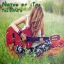 iruDNik - Notes of life