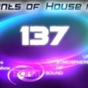 Viel - Elements of House music 137 YEAR MIX 2013