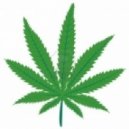 Framoc dj - Marijuana Techno Party (27.04.2014)