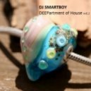 DJ SmartBoy - DEEPartment of House vol.2 ()