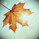 Sul - Picnic Autumn