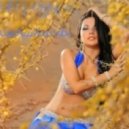 DJ AleX_Xandr - Arab passions