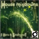 8 Hertz & Schelmanoff - House Mixdown 1 (Original mix)