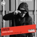 GVOZD - DnB Today ()