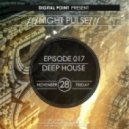 Digital Point - Night Pulse - Episode 017 ()