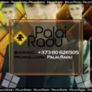 Palai Radu - Christmas Carnival #2