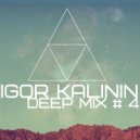 Igor Kalinin - Deep Mix # 4 ()