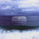 Norman & Foley - Morphine