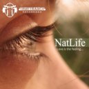 NatLife Feat. Thomas Tallis - 7 Late Century (Original Mix)