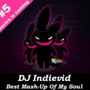 DJ Indievid - Mash-Up #5 (Electro Is Coming)