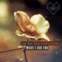Lou Van, Vijay & Sofia Zlatko - What I Ask For (Jamie Antonelli Remix)