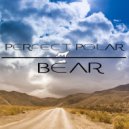 Perfect Polar Bear - Hi, Netsky ()