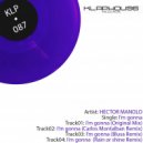 Hector Manolo - I\'m Gonna (Blusa remix)