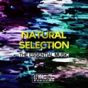 Loco Mash & Marco Ciara - Bagaloo Swing (Original Mix)