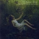 Christian Gainer - Forest Cover Vol.4 ()