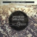 Digital Point - Night Pulse - Episode 020 ()