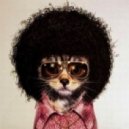 NetImports - SuperFly