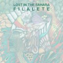 Filalete - Lost in the Sahara