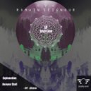 Romain Seignour - Explanation