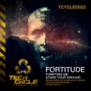 Fortitude - Purifying Me (Original Mix)