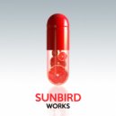 Sunbird - They Accept Paradise (Deep Night Mix)